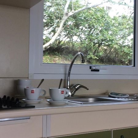 Camping Le Soline Casciano Di Murlo Ruang foto