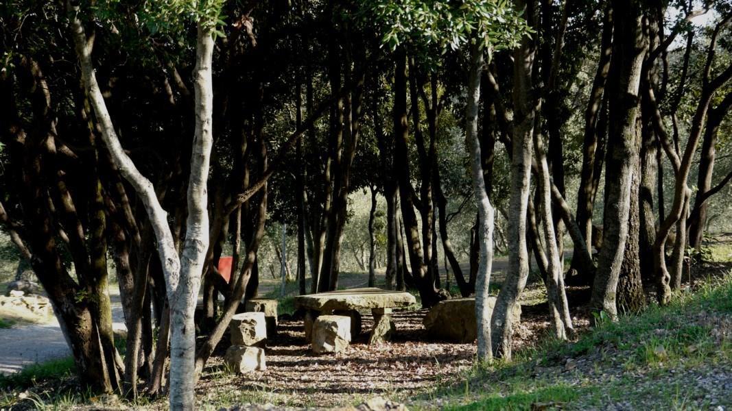 Camping Le Soline Casciano Di Murlo Bagian luar foto