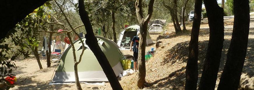 Camping Le Soline Casciano Di Murlo Bagian luar foto